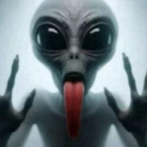 Profile photo of Xavier Smith