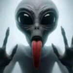 Profile photo of Xavier Smith